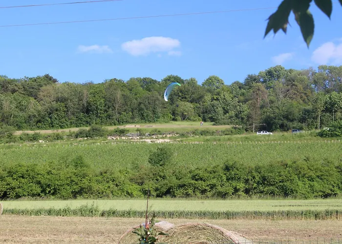 Le Petit Luquis - 7 -